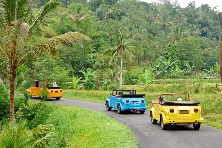 VW Safari Tour