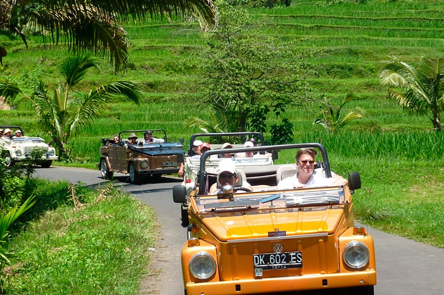 VW Safari Tour