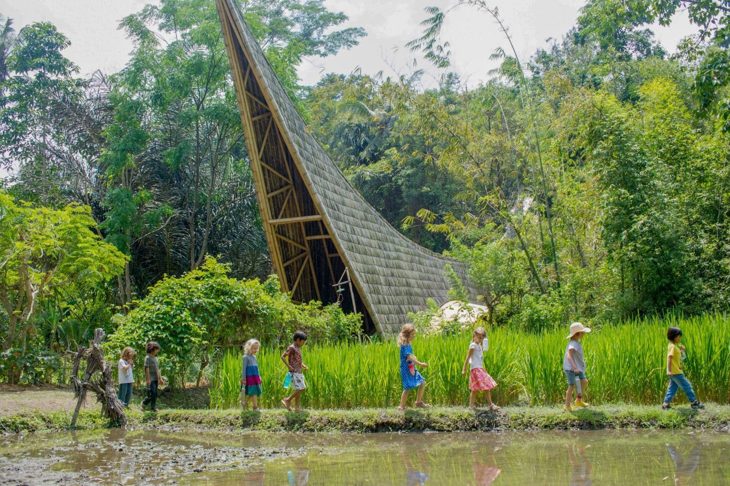 Full day Turtle conservation at Sanur + Visit Green School