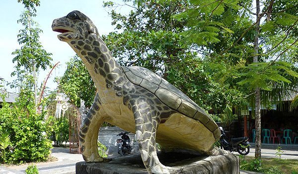 Full day Turtle conservation at Sanur + Visit Green School